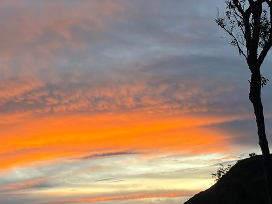 Ceylon Travel Buddy-卡卢特勒必去景点