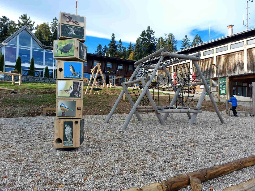 Rozka Forest Educational Trail