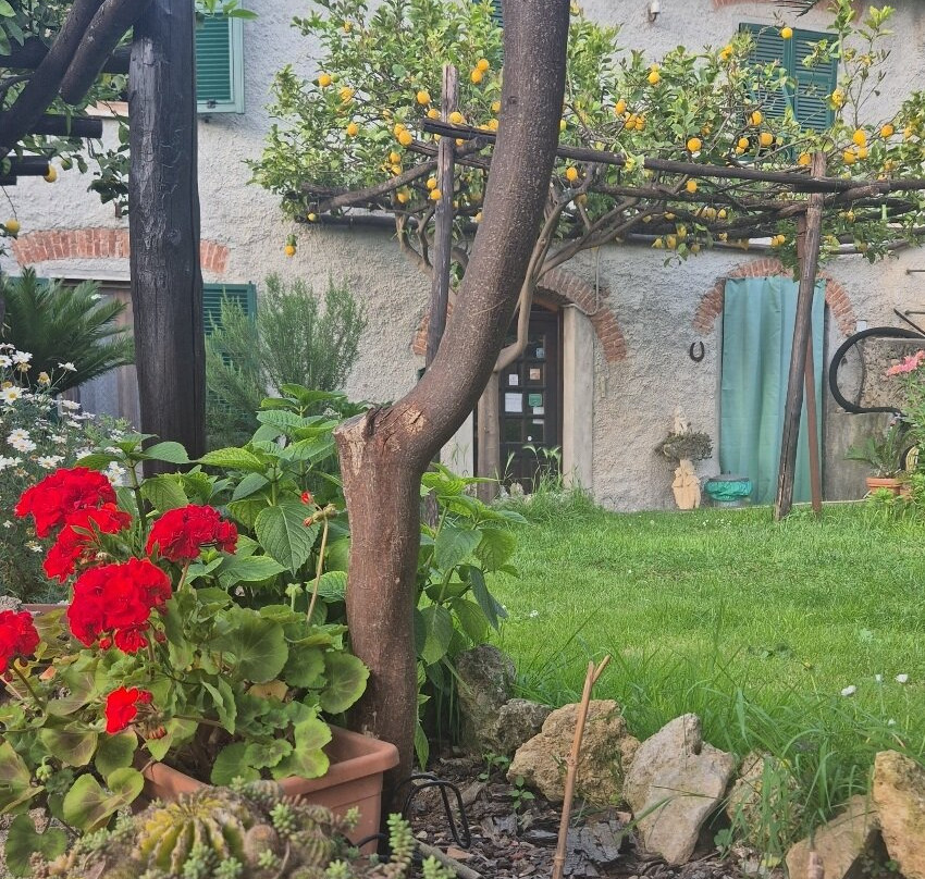 Agriturismo I Lamoi主图