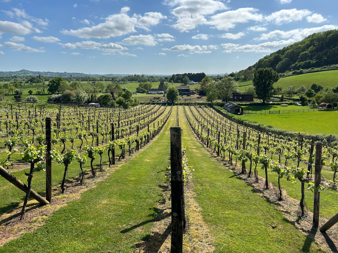 Fenny Castle Vineyard景点图片