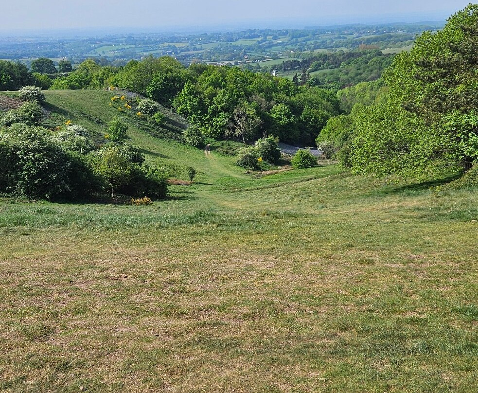 Waseley Hills Country Park-伯明翰必去景点