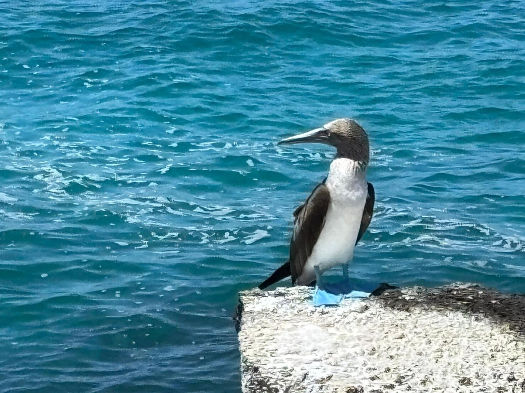 Blue Evolution-Zeeland必去景点