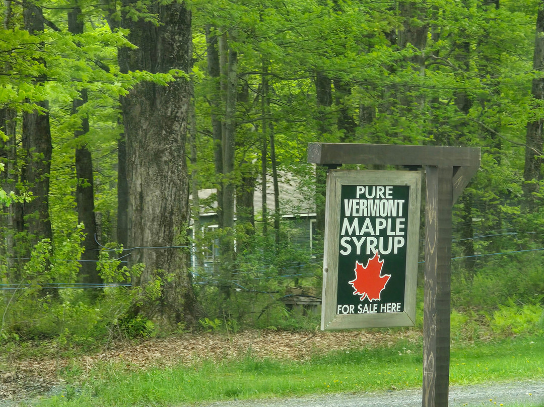 Glastenview Maple Farm-Shaftsbury必去景点