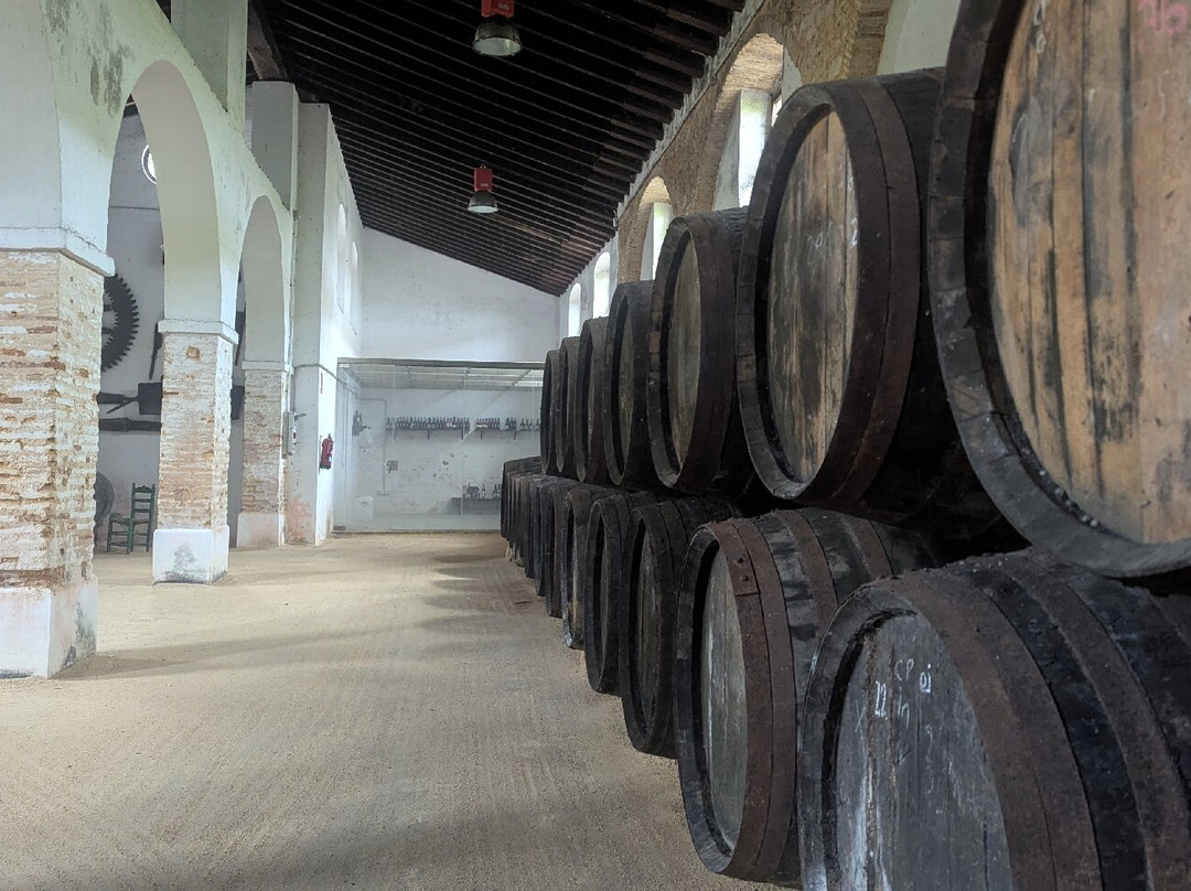 Bodegas Alonso