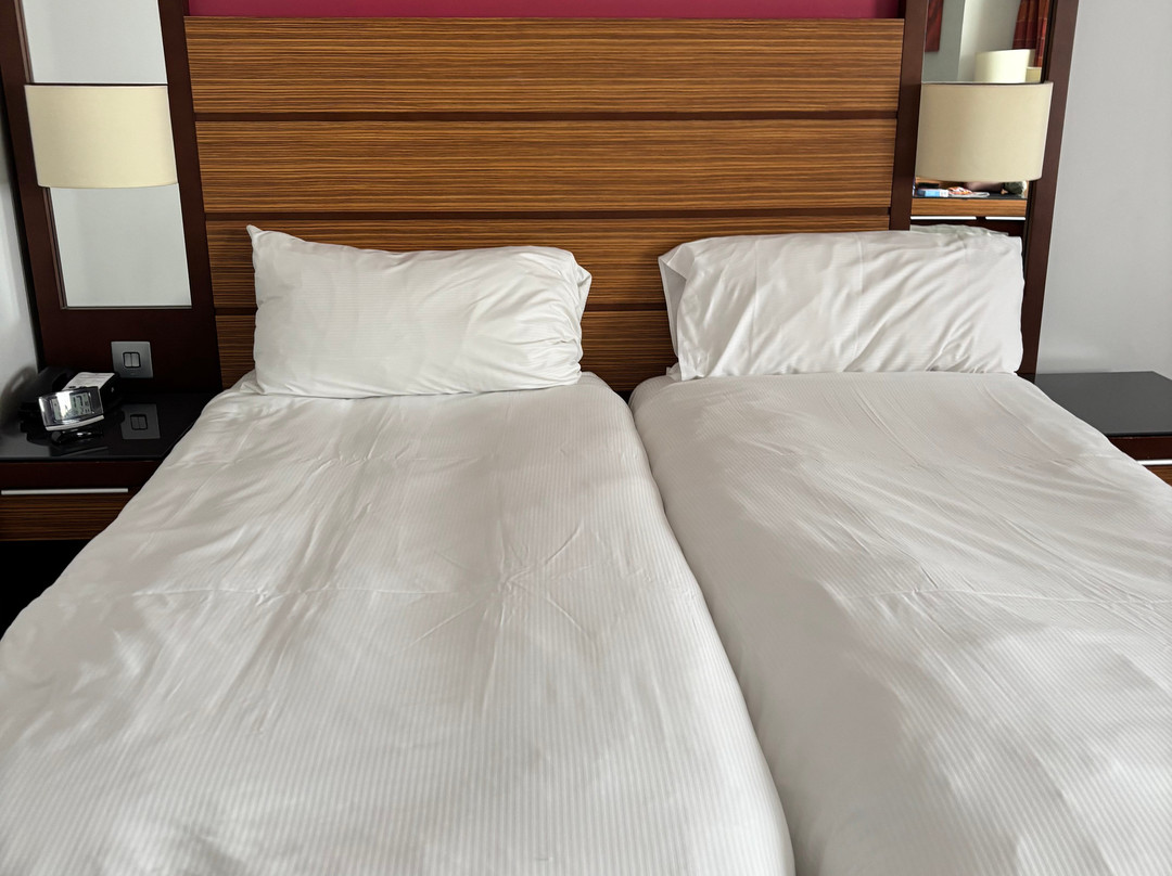 Ashford International Hotel & Spa主图