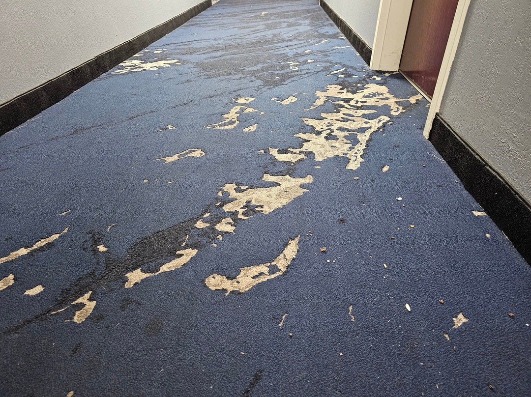 Clarion Pointe On The Lake Clarksville - South Hill West主图