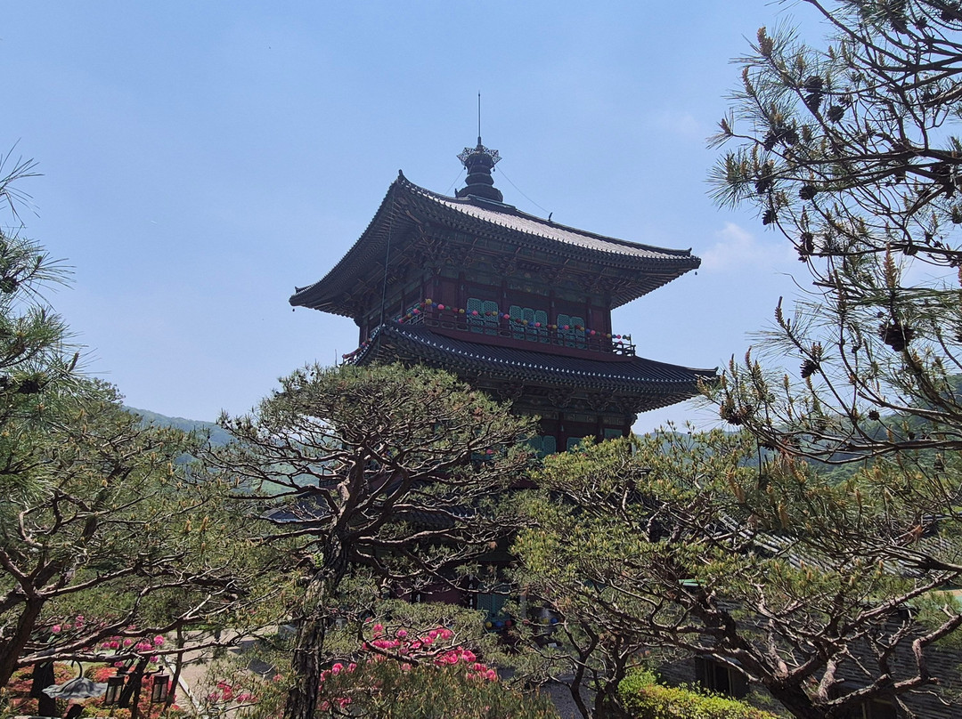 Botapsa Temple-镇川郡必去景点
