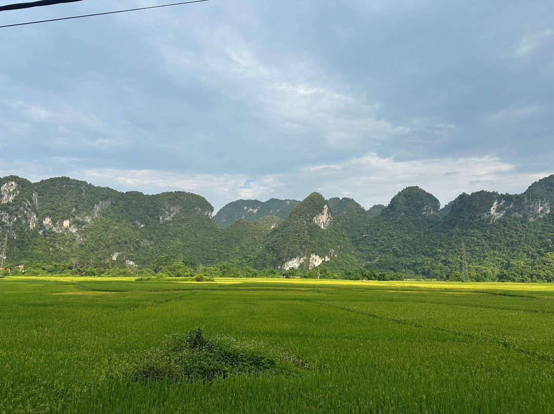 DISCOVER PU MAT WITH CAPTAIN ANDY-荣市必去景点