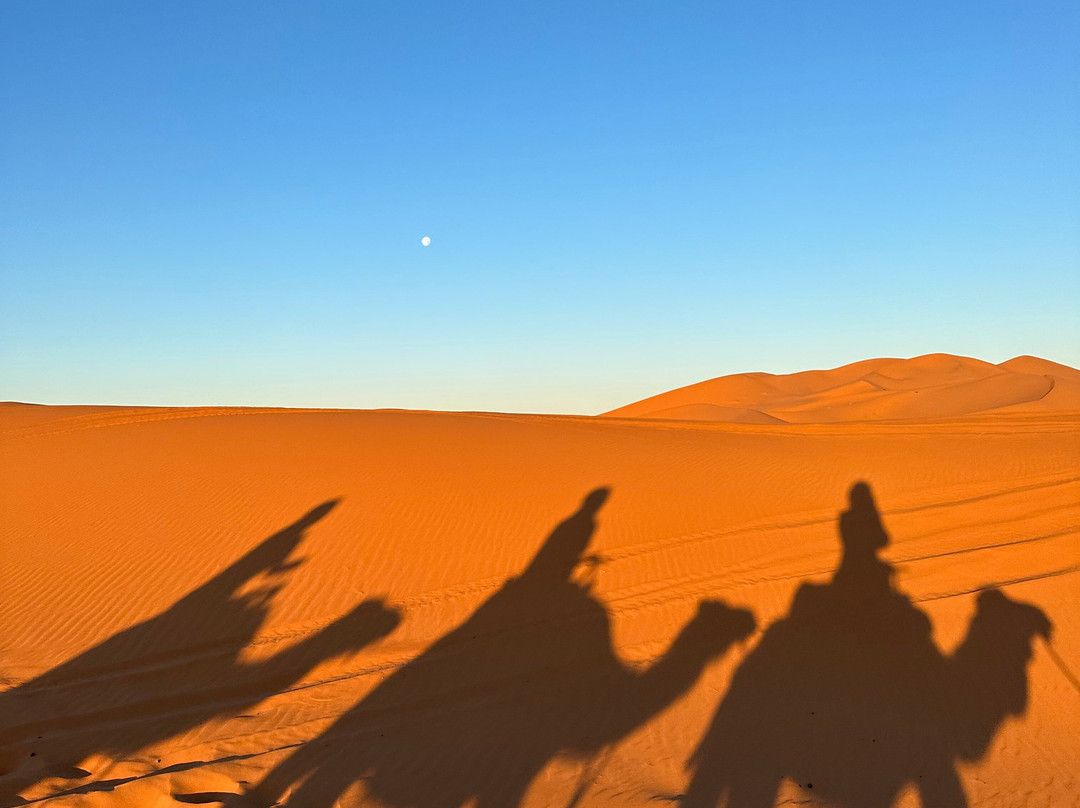 Morocco Global Adventures-卡萨布兰卡必去景点