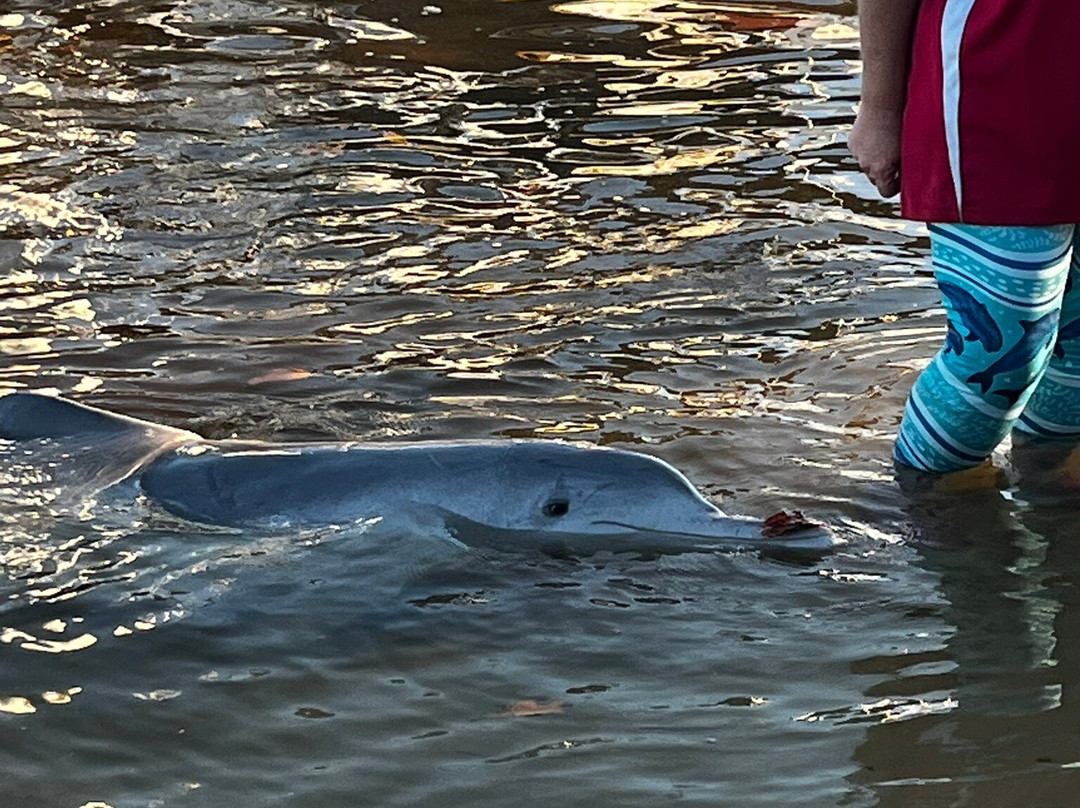 田可湾汽车旅馆主图