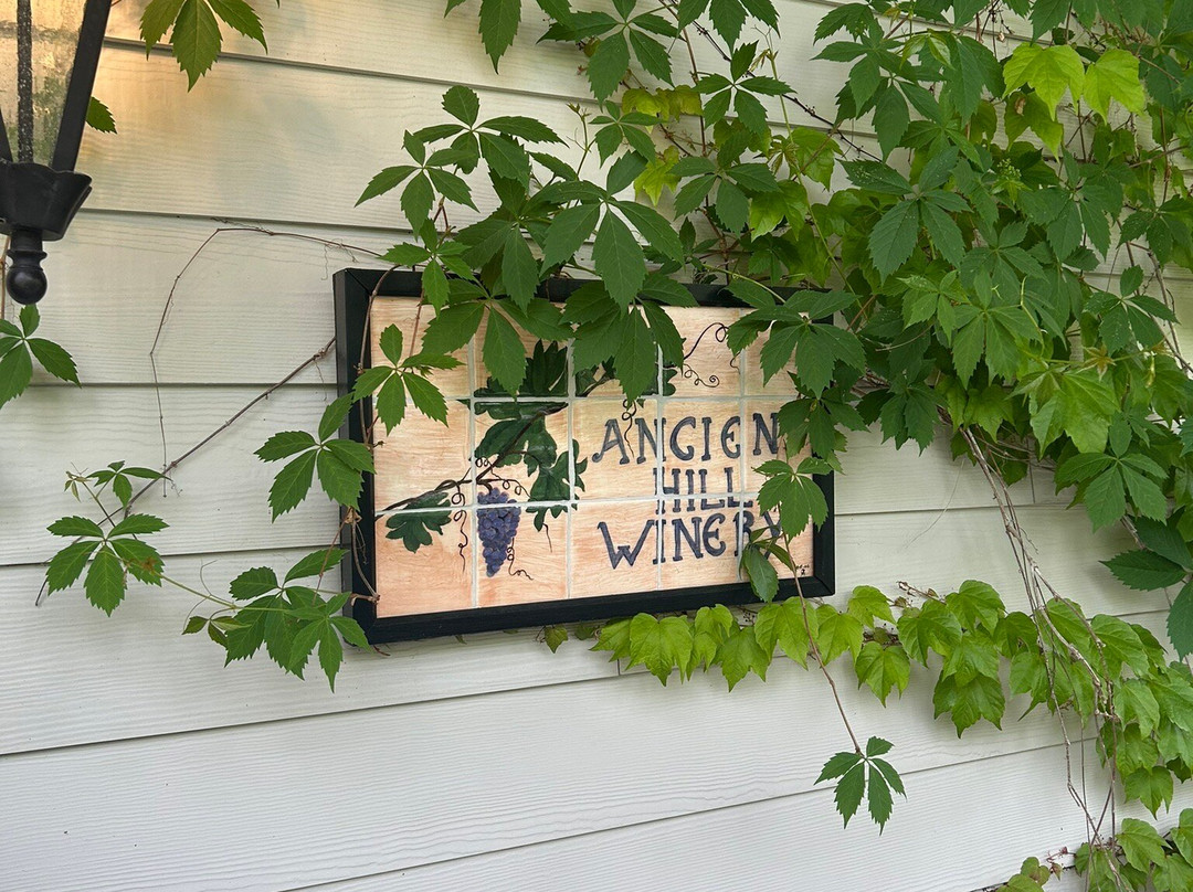 Ancient Hill Estate Winery-基洛纳必去景点