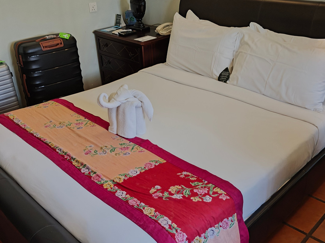 Areca Hotel Penang主图