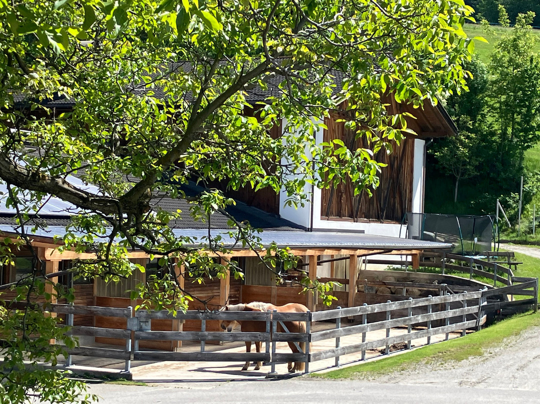 Widmannhof - Urlaub Auf Dem Biobauernhof
