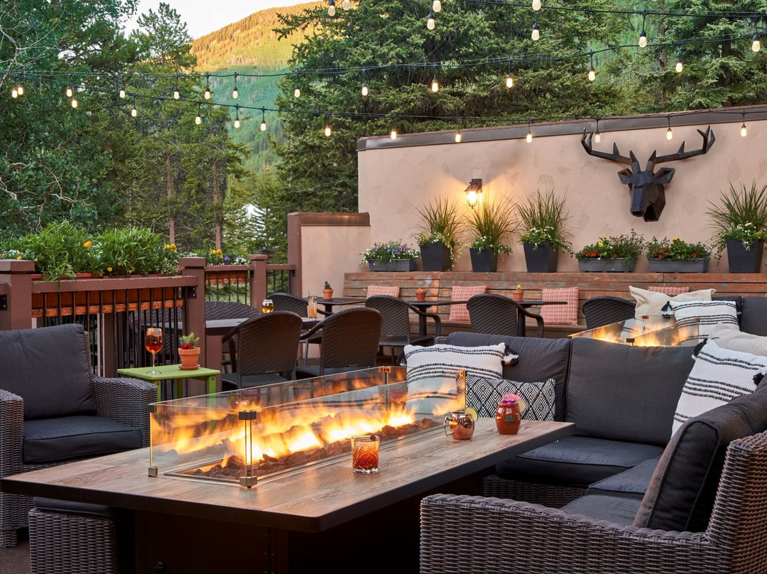 The Fitz: Elevated Bar + Bites