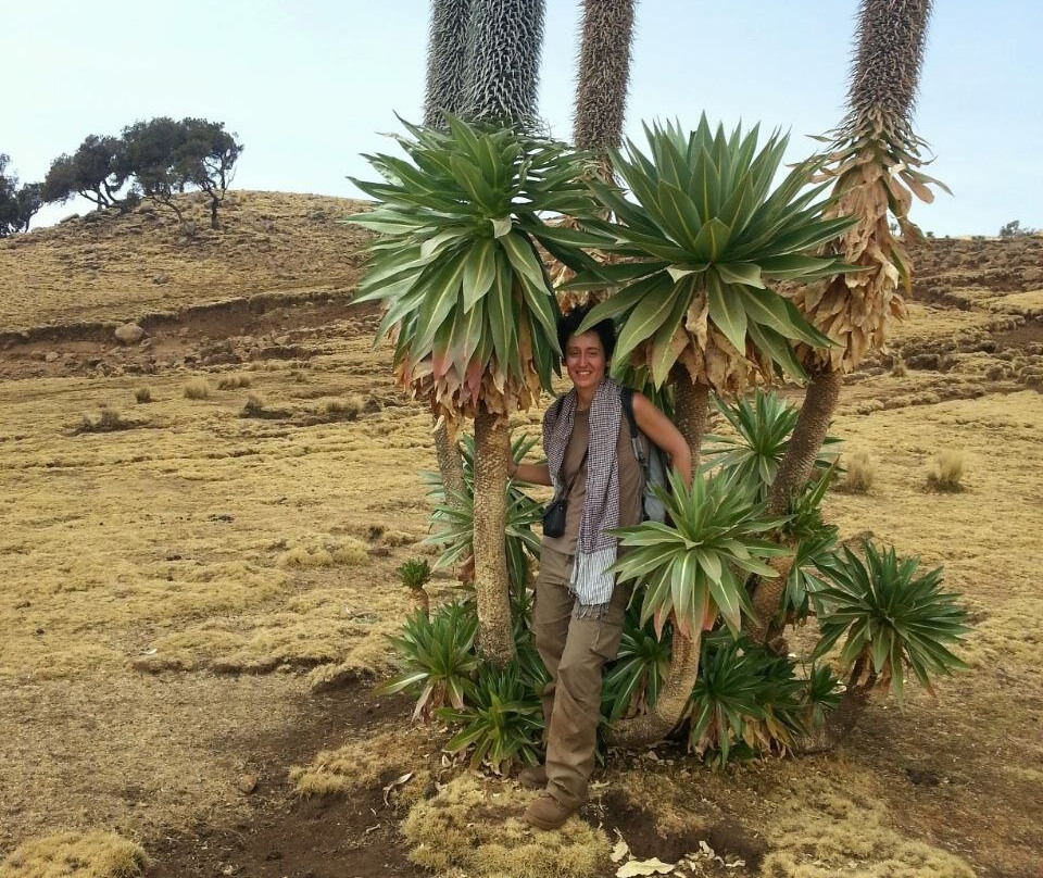 SMT TOUR (Simien Mountains Tour)-贡德尔必去景点