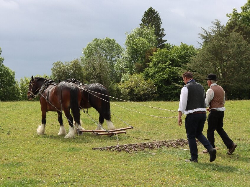Acton Scott Heritage Farm景点图片