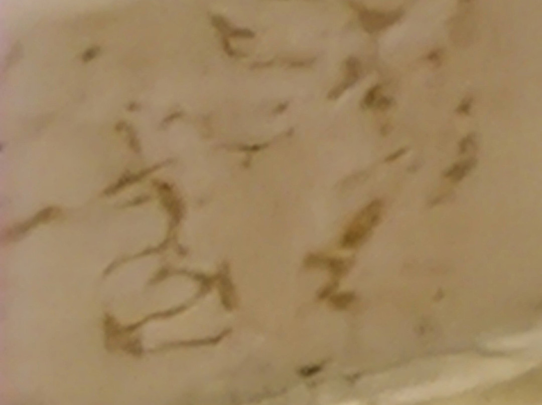 伊潘内玛海滩酒店主图