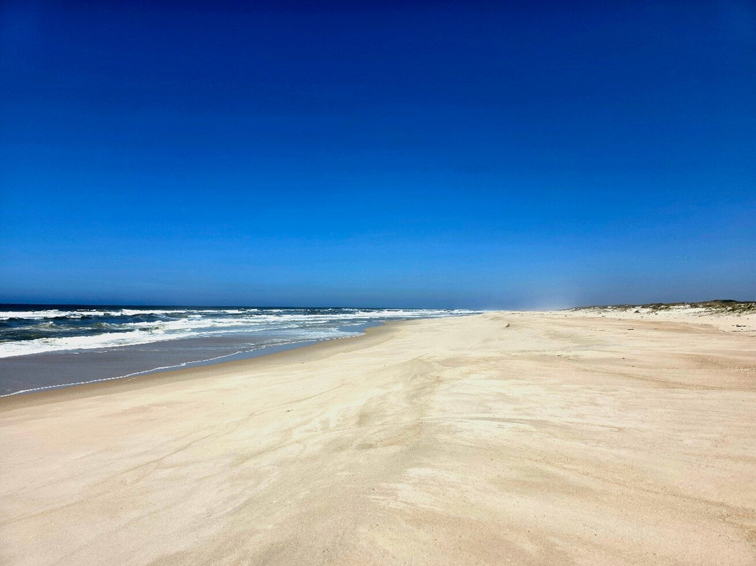 Reserva Natural das Dunas de Sao Jacinto景点图片