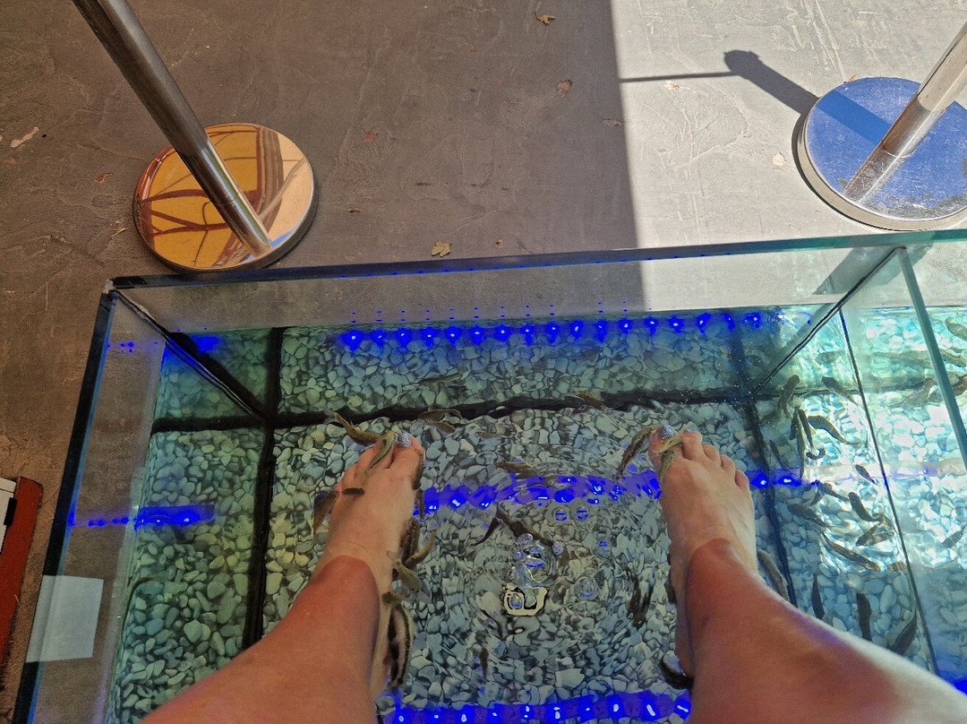 Magia Fish Spa-罗德城必去景点