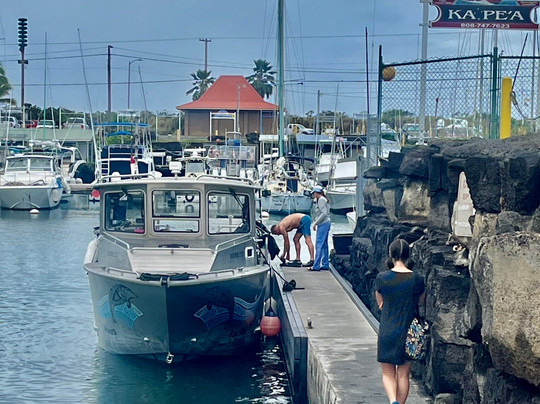 太平洋沿岸潜水有限公司-凯鲁瓦-柯纳必去景点
