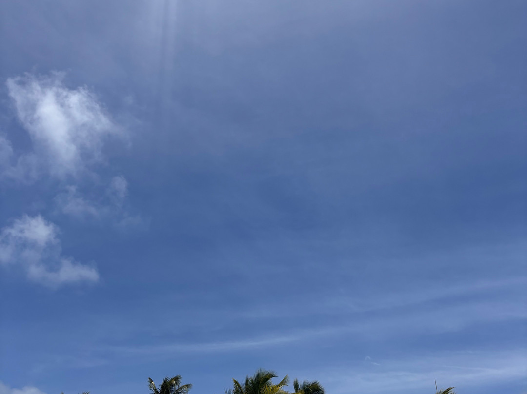 Captain Alan's Boat Charters-Oyster Pond必去景点