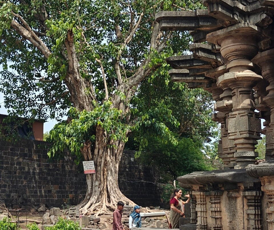Kopeshwar Temple景点图片