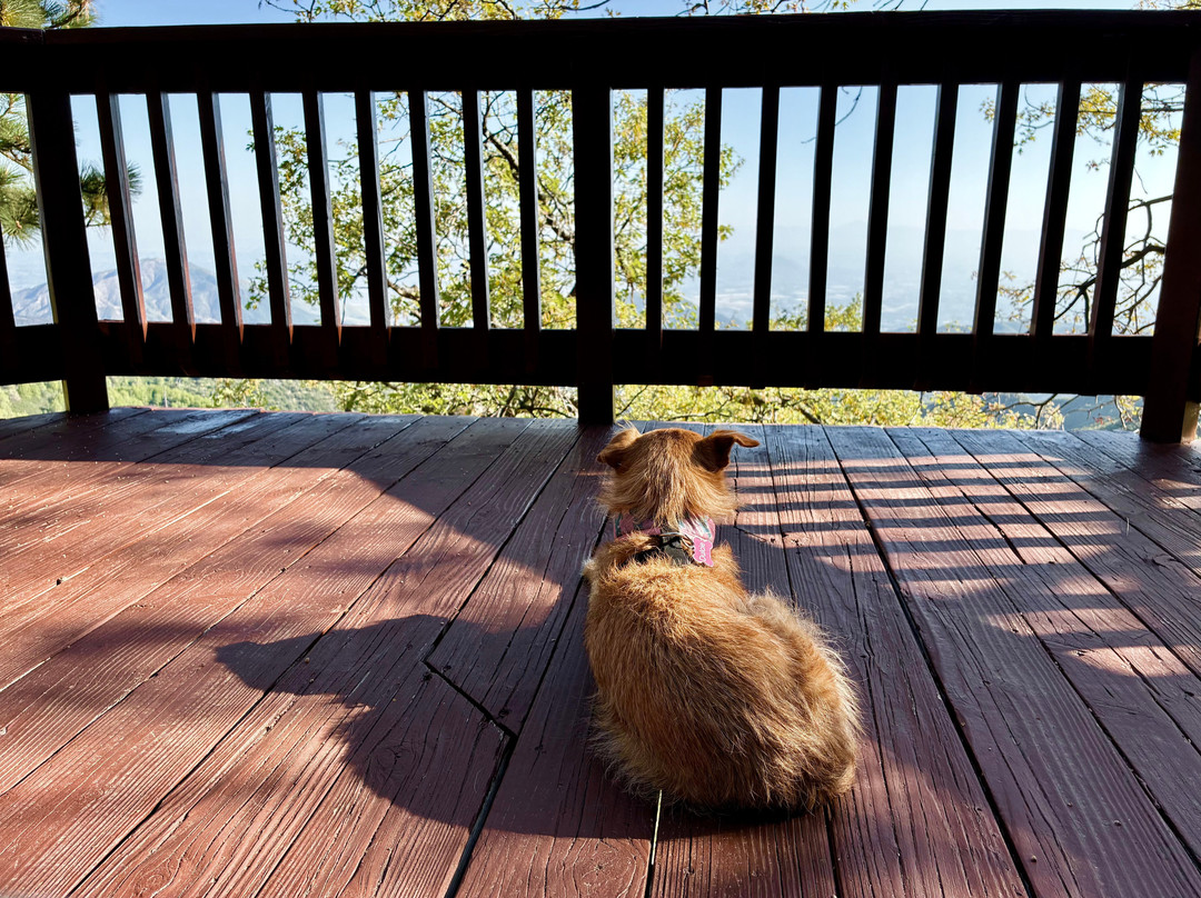 The Sky View Inn主图