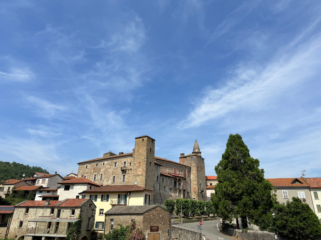 Castello di Monastero Bormida景点图片