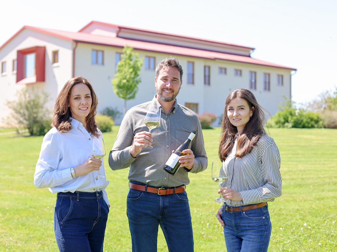 Gravitační vinařství Vilavin-Brezi必去景点