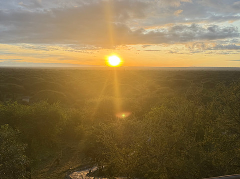Mnyalu Safaris-阿鲁沙必去景点