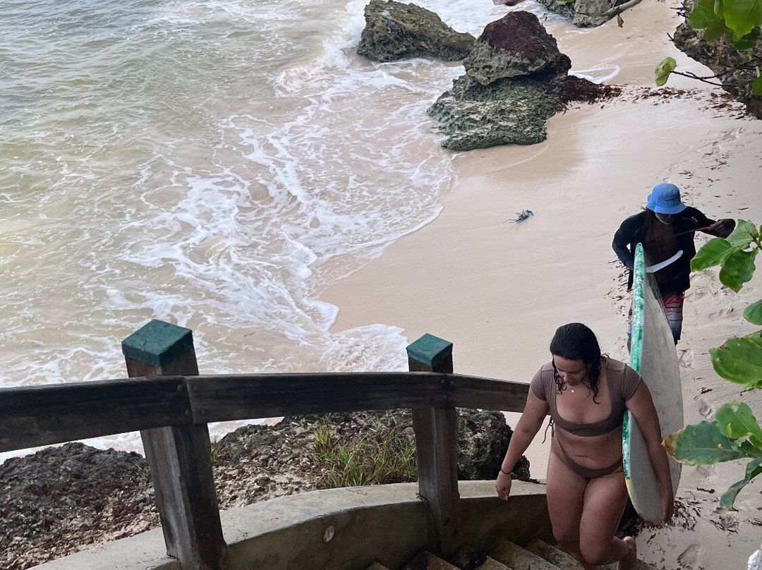 Freights bay surf school-Enterprise必去景点