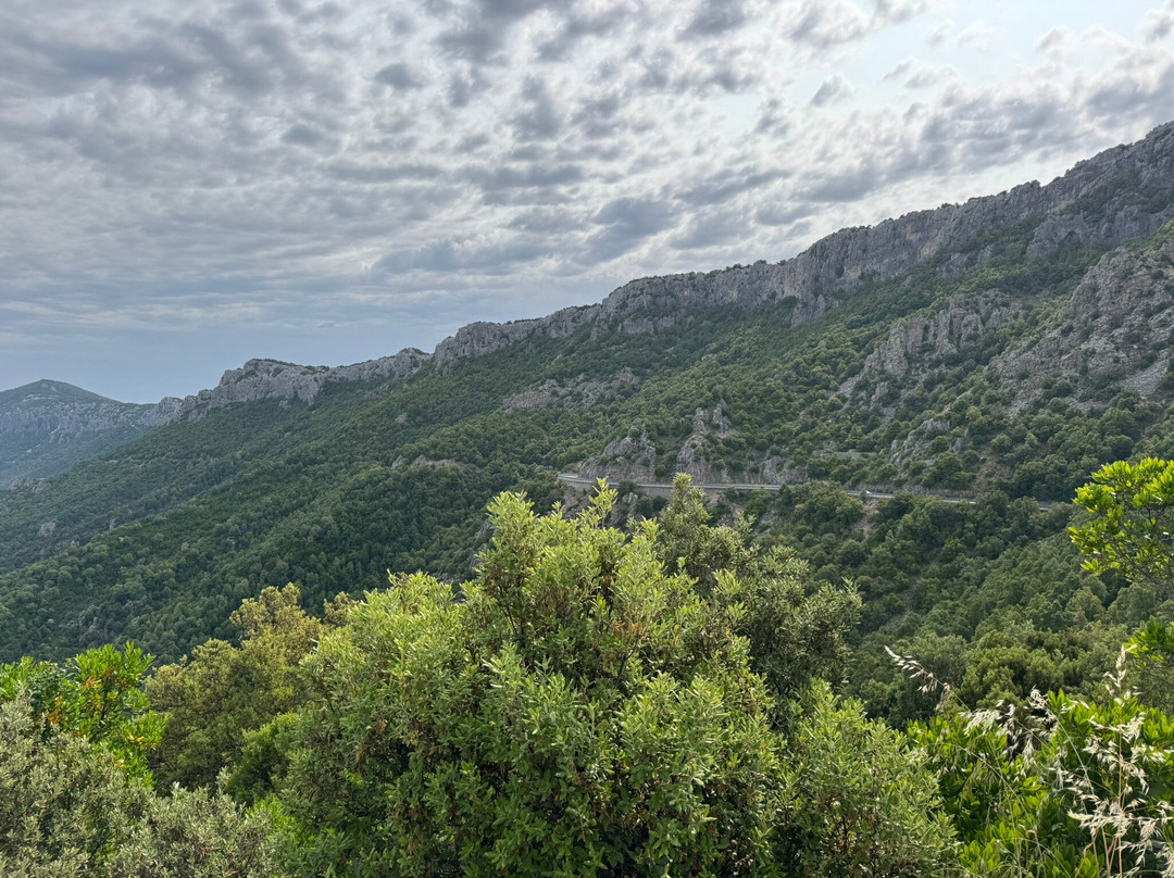 B&B Sa Domo De Sos Massaios