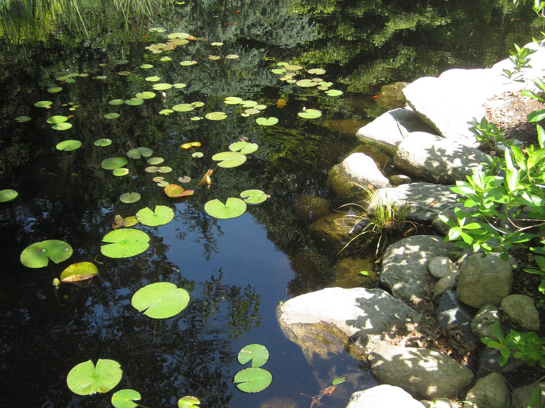 Armstrong-Kelley Park-Osterville必去景点