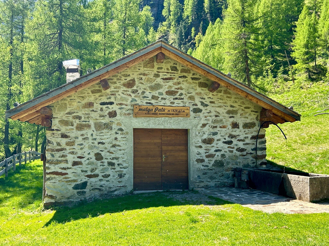 Lago di Pian Palù景点图片