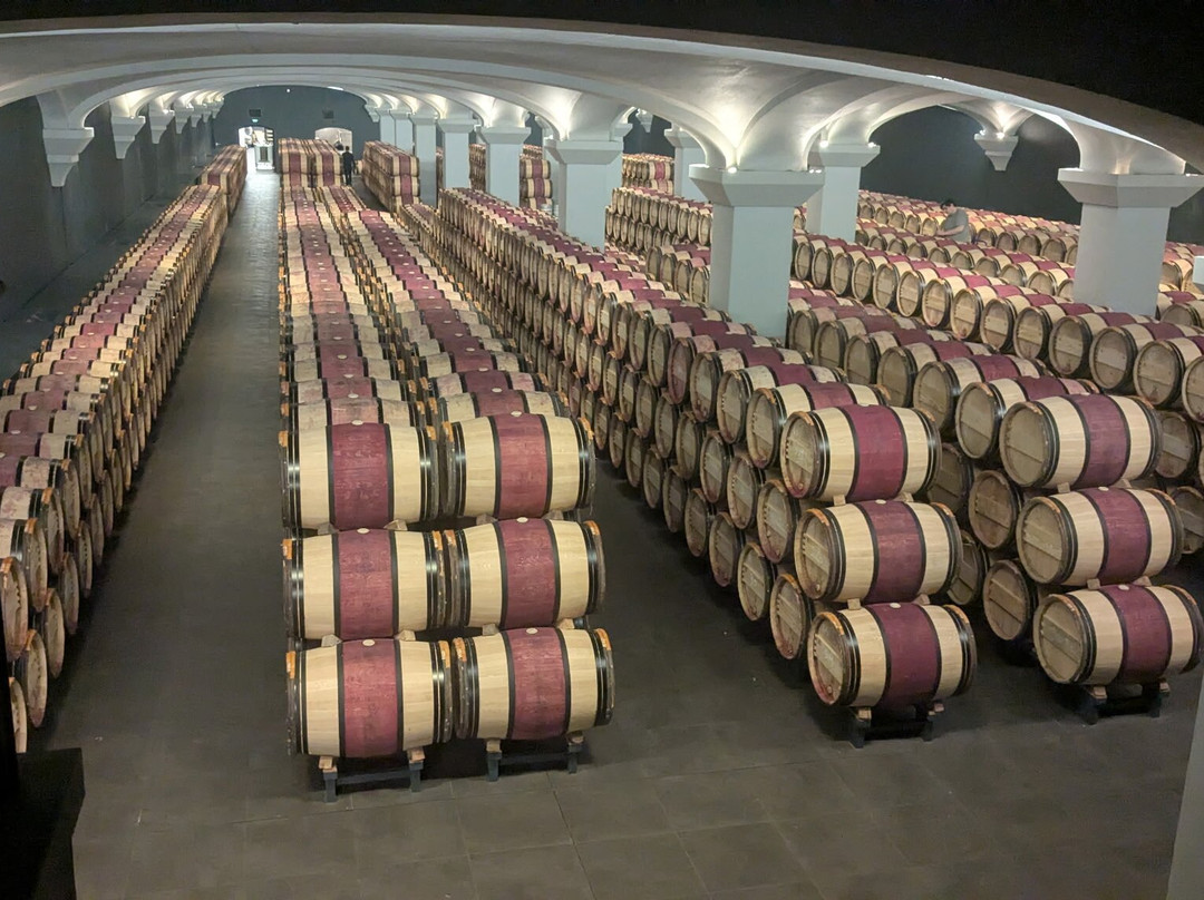 Chateau Coulon Laurensac主图