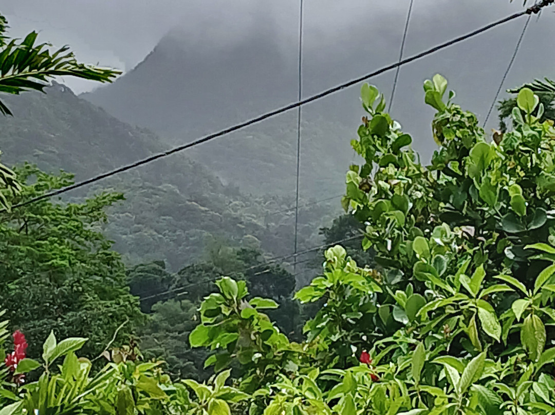 Kalonji Tours & Taxi-Le Lamentin必去景点