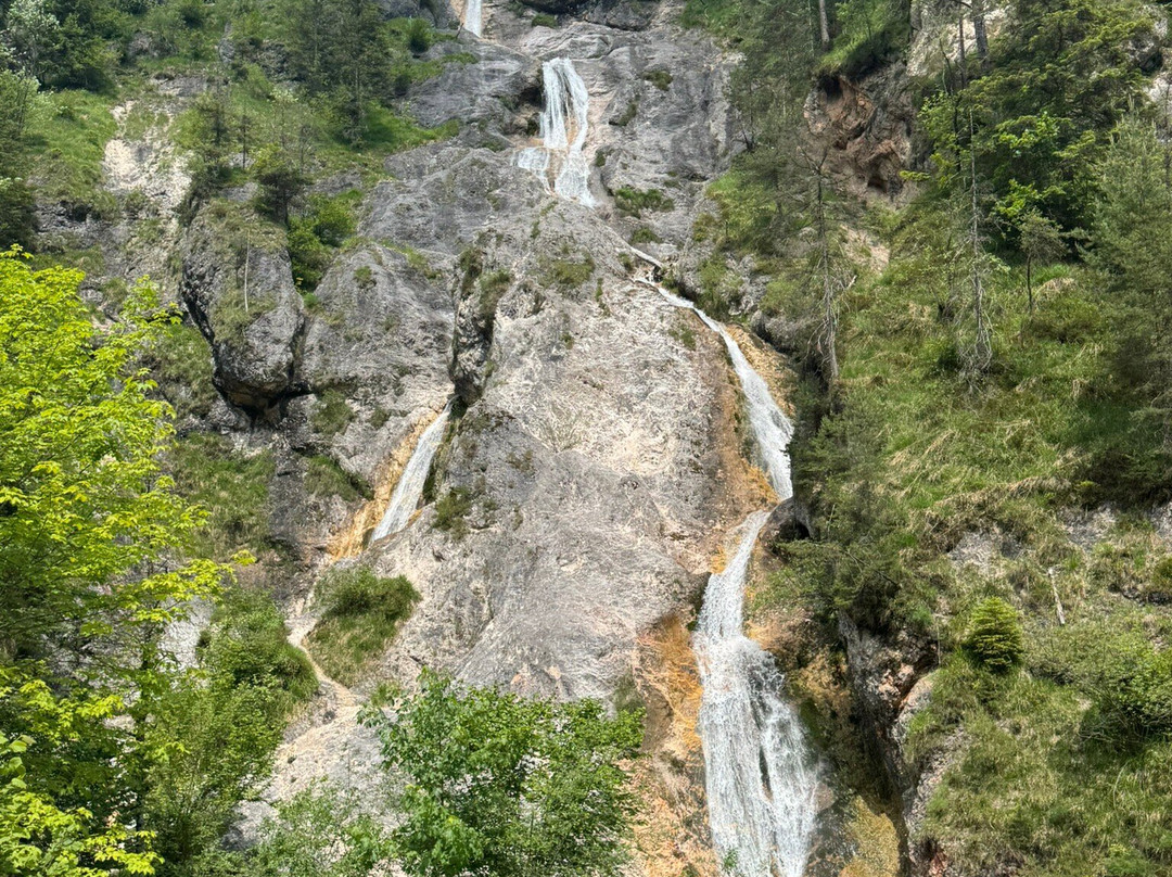 Almbachklamm景点图片