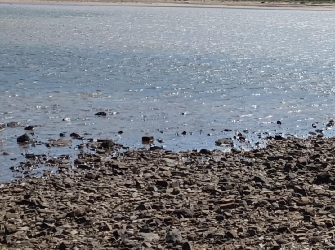 Cala Tamarells Des Sud