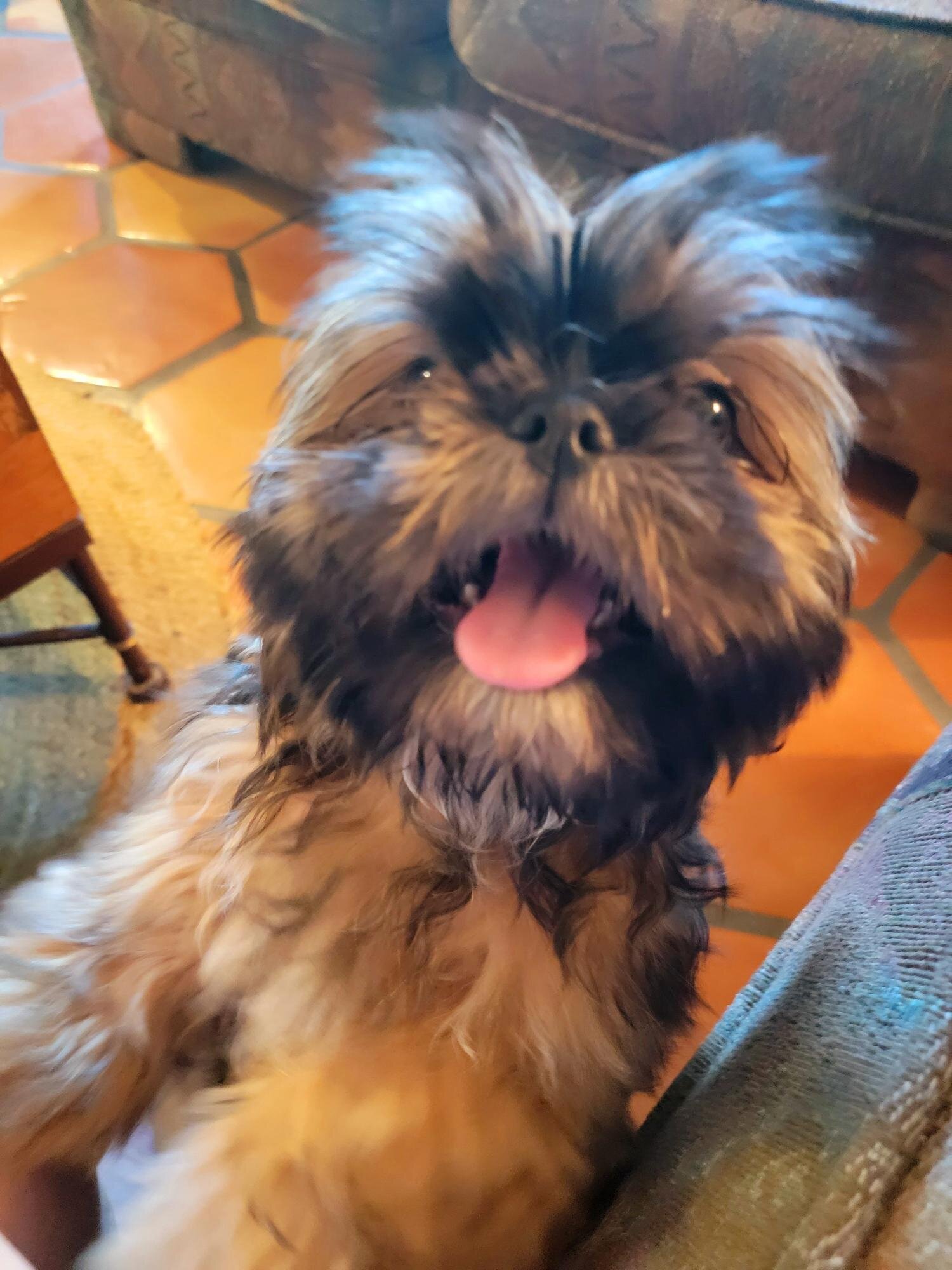 品质旅馆&套房酒店-客卧