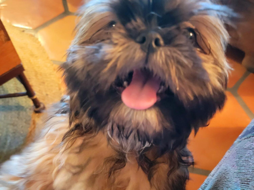 品质旅馆&套房酒店主图