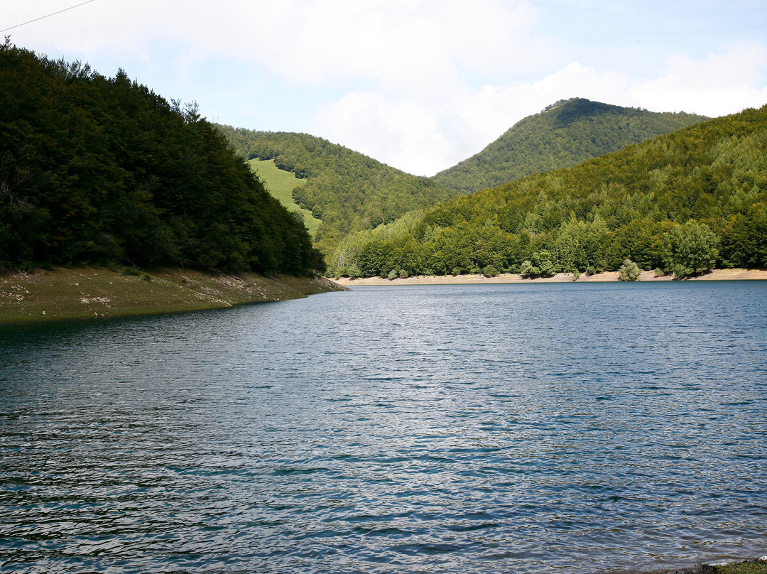 Selva de Irati-纳瓦拉必去景点