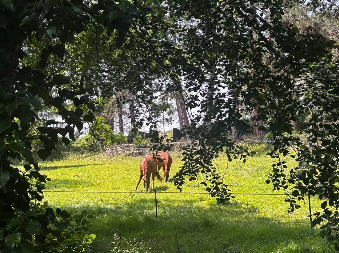 Le Domaine De Moroges主图