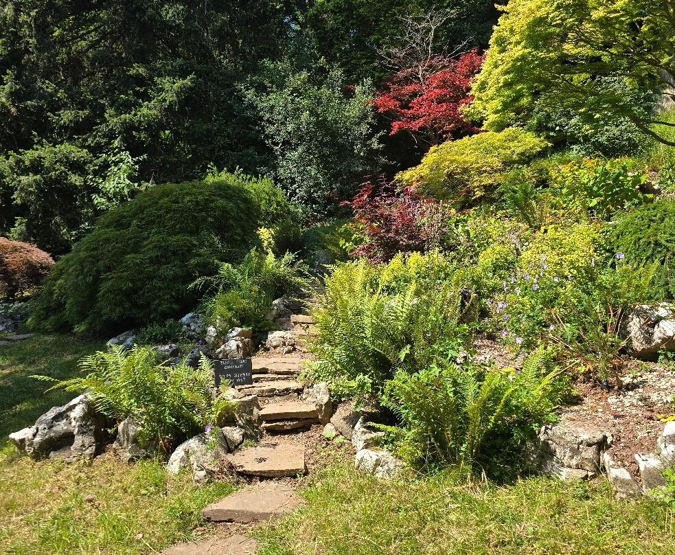 The Weir Garden景点图片