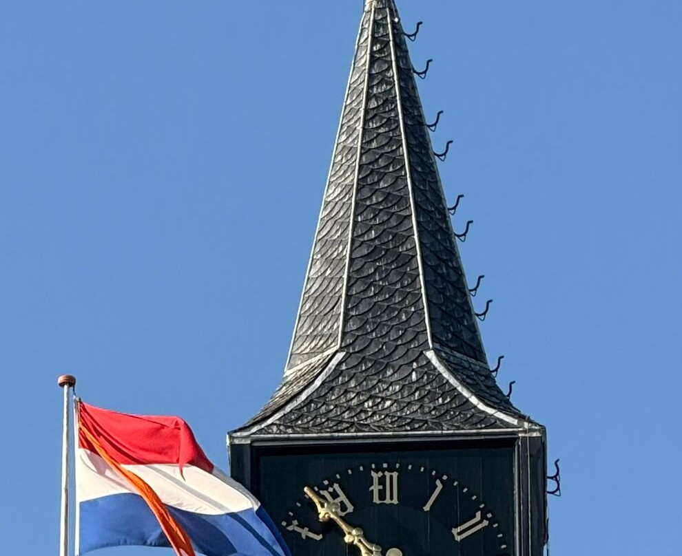 Nederlands Hervormde Kerk De Rijp uit 1655-De Rijp必去景点
