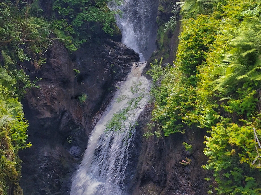 Glenariff Forest Park-County Antrim必去景点