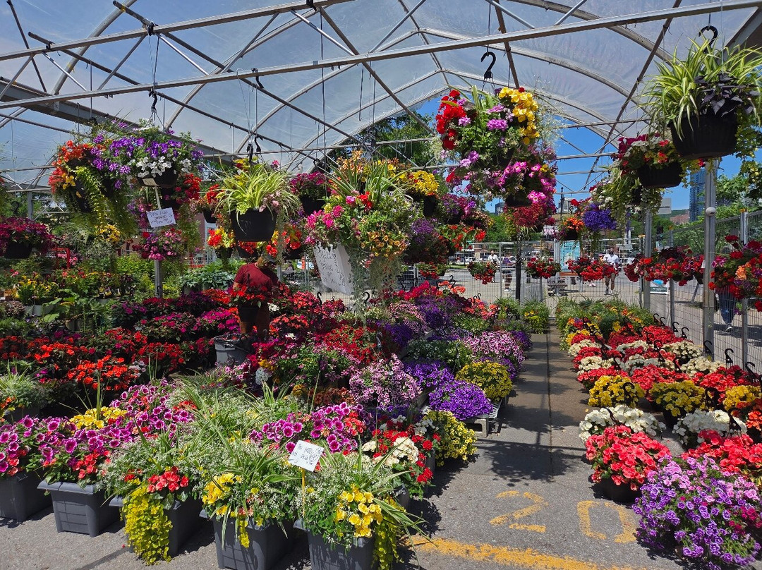 Marché Atwater-蒙特利尔必去景点