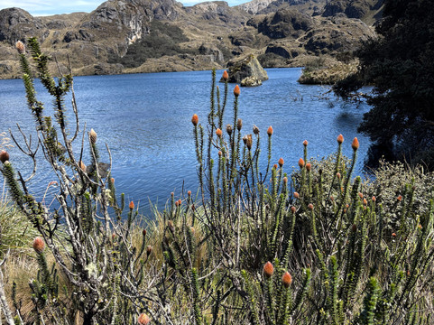 Amazing SouthAmerican Tours