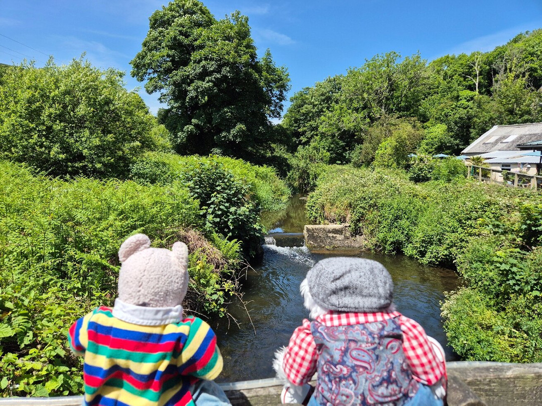 Solva Woollen Mill-Solva必去景点