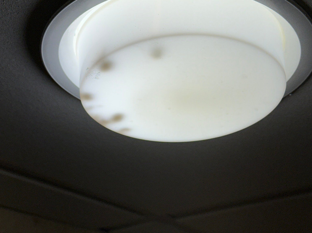 喜来登大峡谷酒店主图