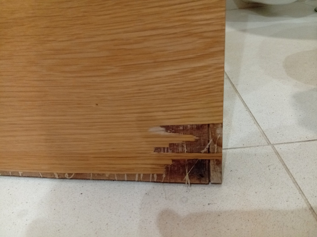 BejaParque Hotel主图